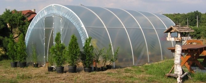 Greenhouse made of polypropylene pipes