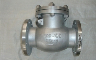 Flanged check valve